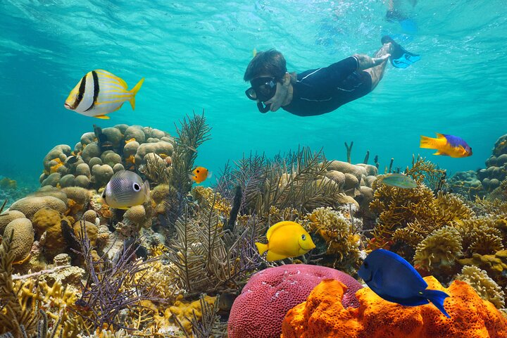 Key West Reef Morning Snorkeling with Breakfast and Mimosas - Photo 1 of 25